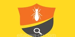 شركة مكافحة النمل الابيض بمكة 0540505502 شركة التقوي