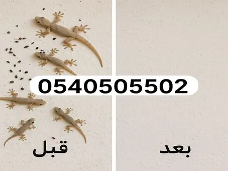 جدار خارجي منتشر به الوزغ