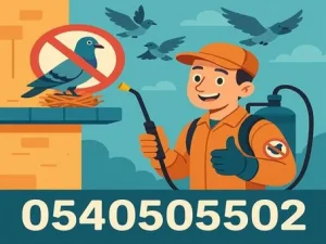 شركة تركيب طارد الحمام بجدة