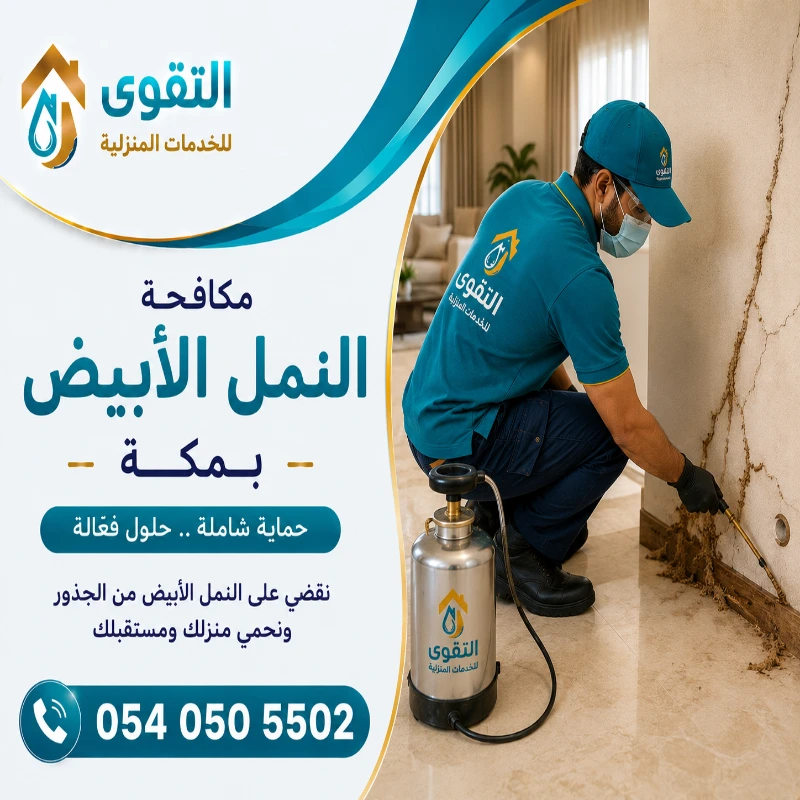 شركة مكافحة النمل الابيض بمكة